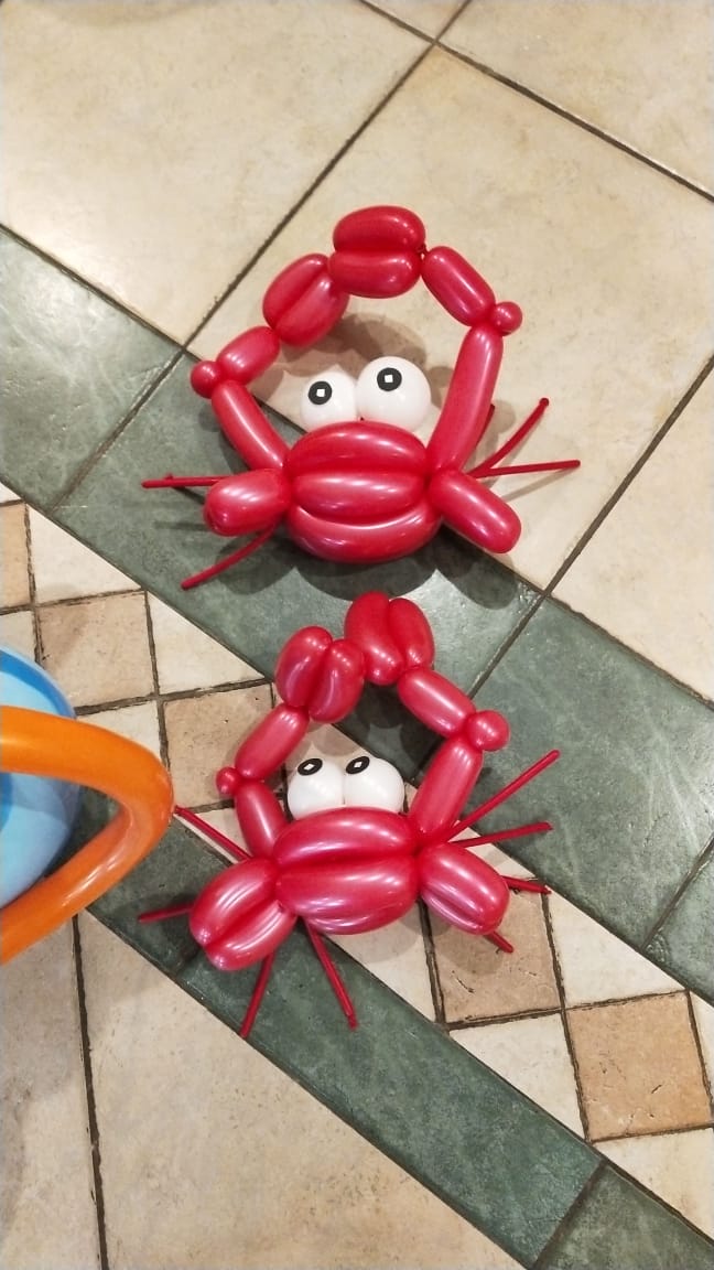  Balloons Twister in civil line